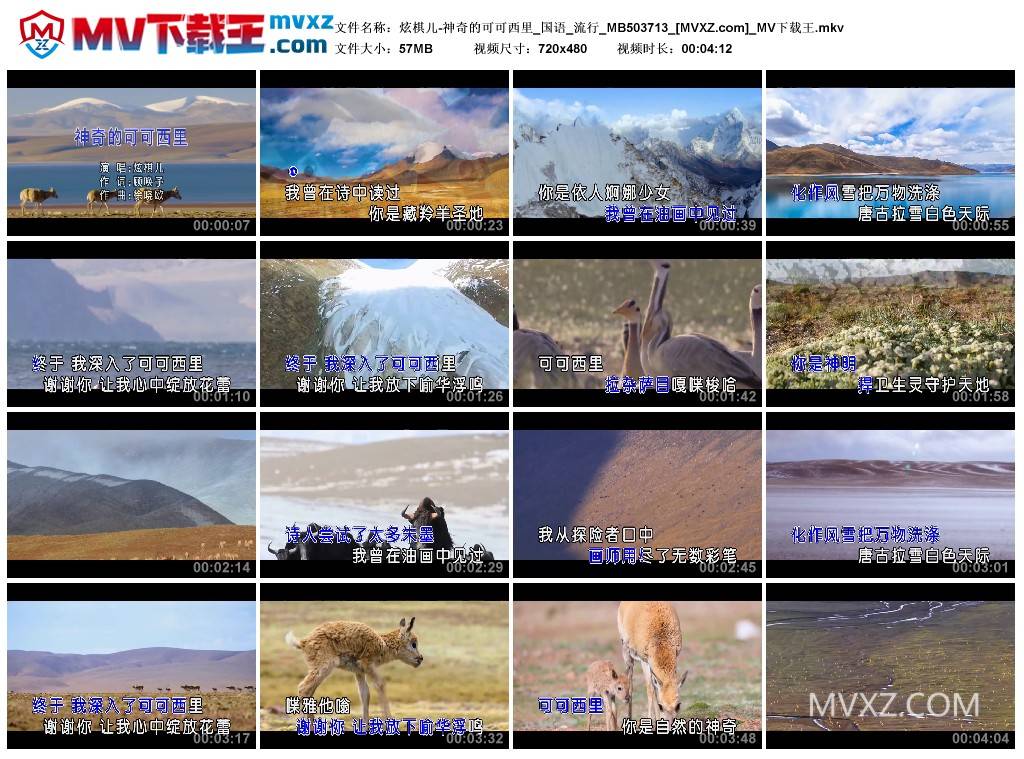 炫棋儿-神奇的可可西里_国语_流行_MB503713